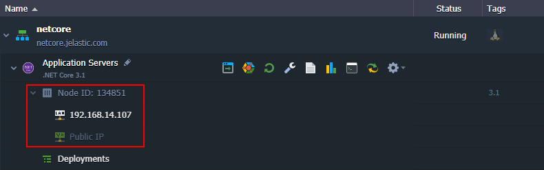 .NET Core Uygulama Sunucusu Oluşturuldu